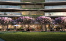 MAGNOLI APARTMENTS-F Type units